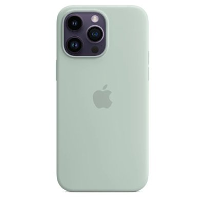 Чохол Silicone Case для iPhone 14 Pro (Succulent) 202323-4 фото