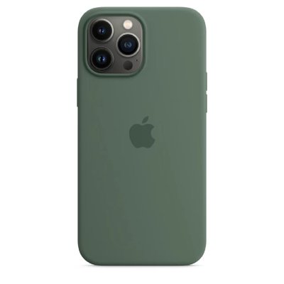Чохол Silicone Case with MagSafe and Animation для iPhone 13 Pro Max (Eucalyptos) 202314-2 фото