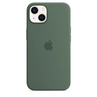 Чохол Silicone Case with MagSafe and Animation для iPhone 13 (Eucalyptos) 202318-3 фото