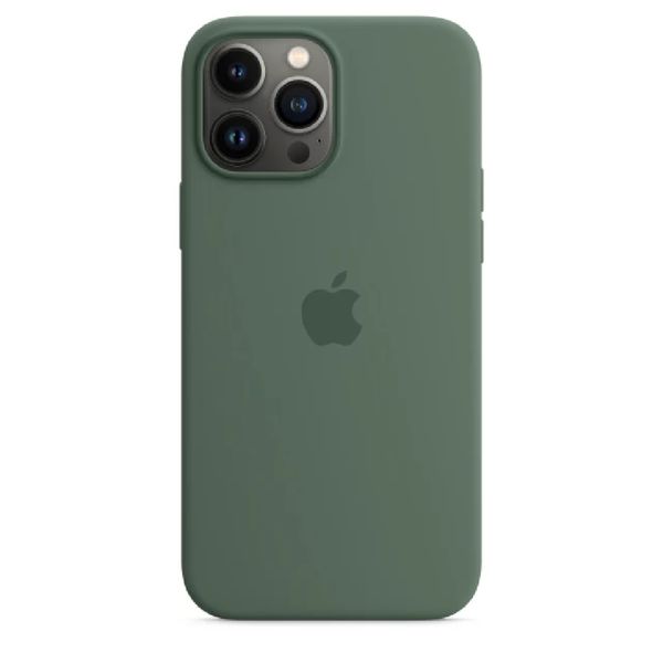 Чехол Silicone Case with MagSafe для iPhone 14 Plus (Succulent) 202320-6 фото